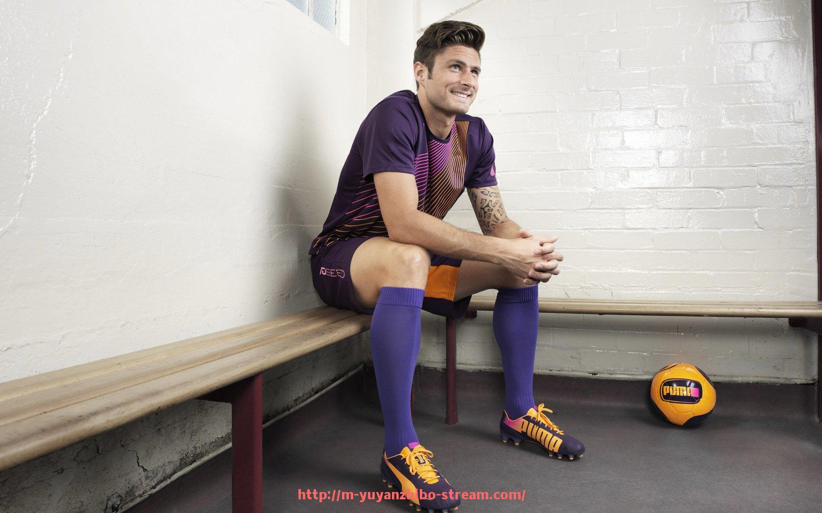 雨燕直播-世俱杯商业合作项目评估方法体系及应用案例