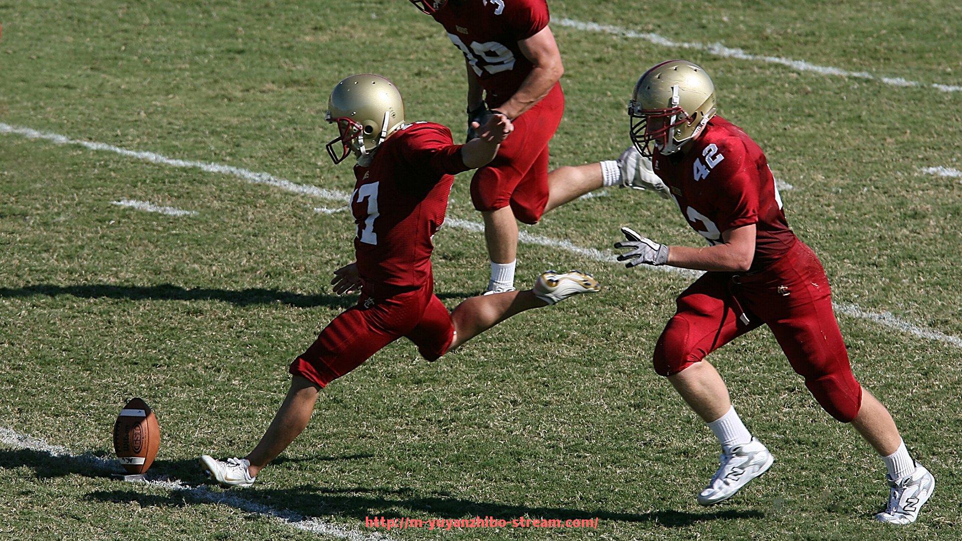 雨燕直播-意大利球员推荐：2025年德甲球队最佳阵容解析