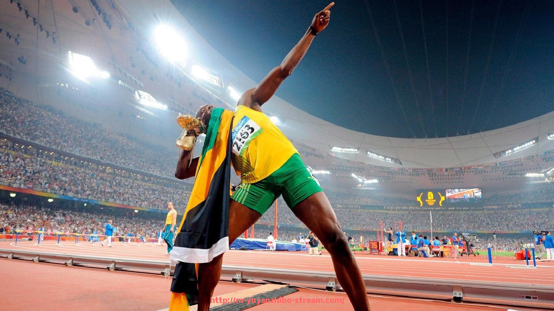 雨燕直播-家庭健身器材24功能的详细介绍与使用建议